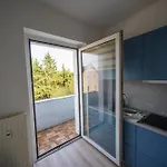 Zentrale Wohlfuehlwohnung - Ideal Fuer Ihren Urlaub Oder Geschaeftsreise Apartamento Magdeburgo