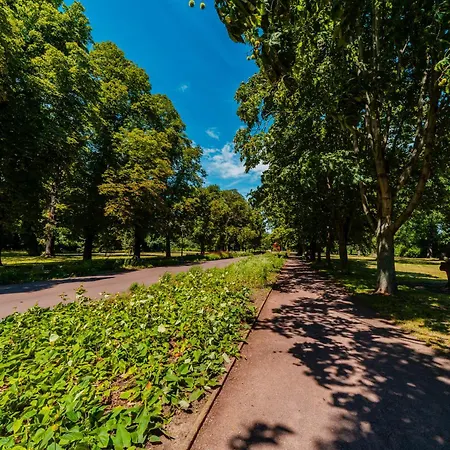 Apartment Zentrale Wohlfuehlwohnung - Ideal Fuer Ihren Urlaub Oder Geschaeftsreise *